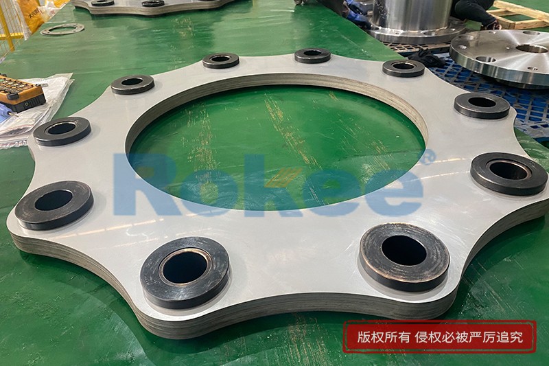 Flexible Coupling Diaphragm